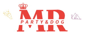 MR PARTY